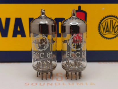 Valvo ECC81 12AT7 O-getter - Hamburg