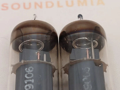 Telefunken EL84 6BQ5 ◇ Inferiore Berlino