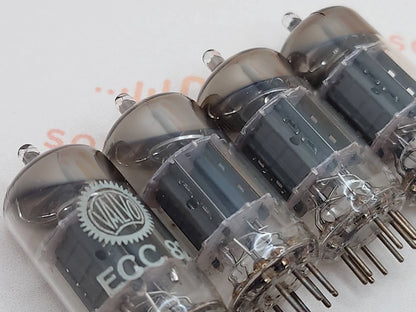 Valvo Hamburg ECC82 Short Plates 30° O-Getter